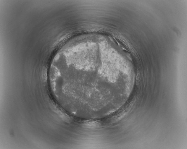 X0000114650454200911171053