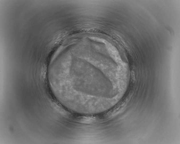 X0000114650458200911171054