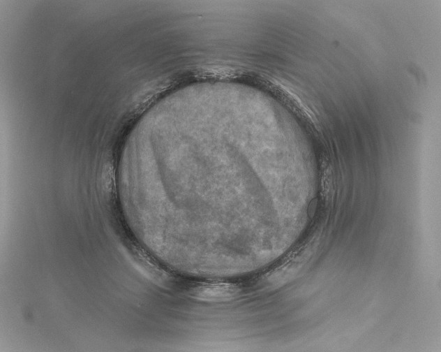 X0000114650459200911171054