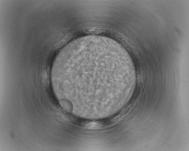 X0000114650460200911171054