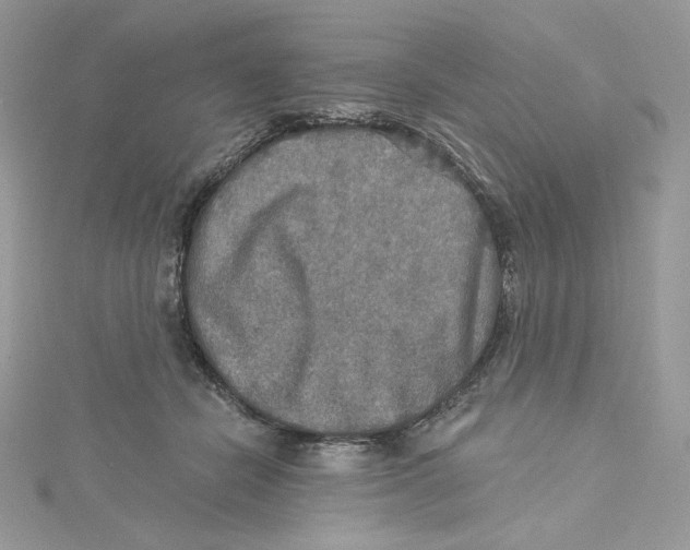 X0000114650462200911171054