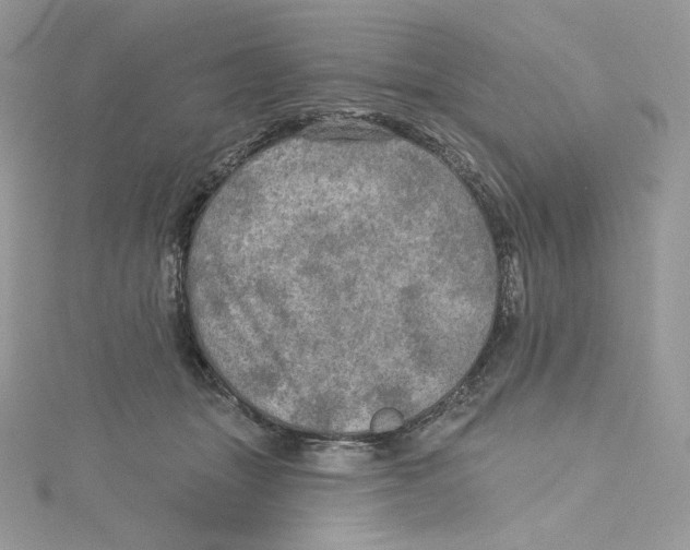 X0000114650463200911171054