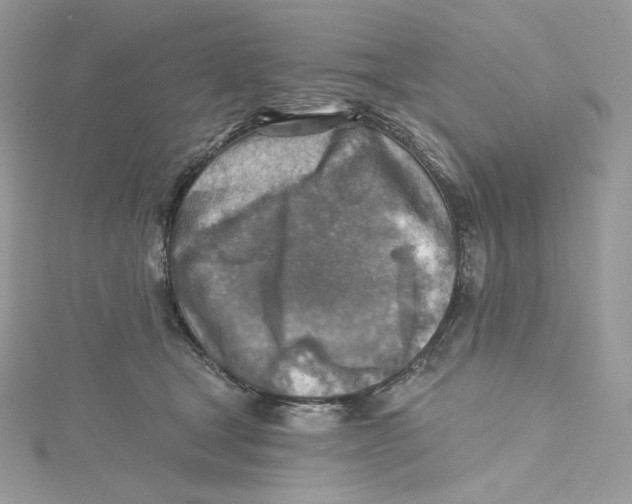 X0000114650465200911171054