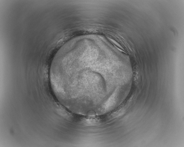 X0000114650466200911171054