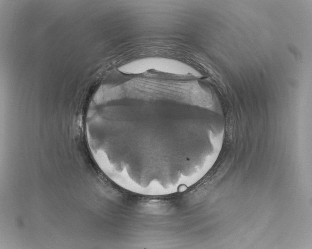 X0000114650467200911171054