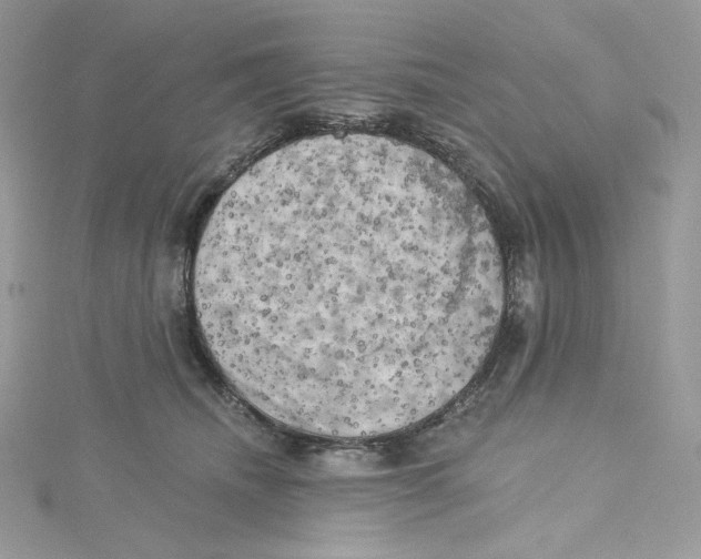 X0000114650468200911171054