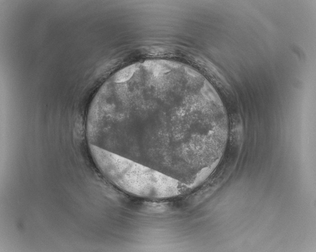 X0000114650469200911171054