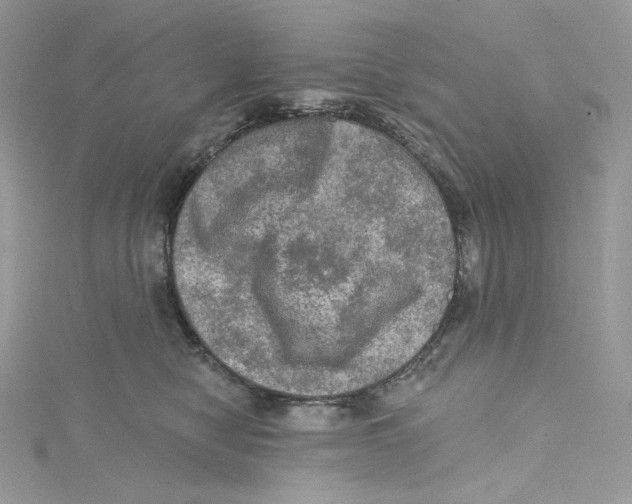 X0000114650470200911171054