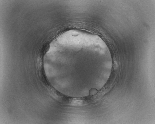 X0000114650471200911171054