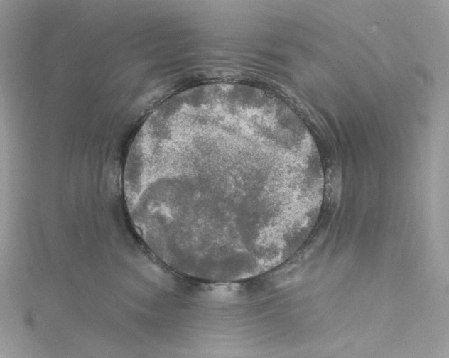 X0000114650474200911171054