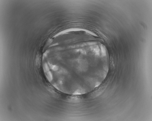 X0000114650475200911171054