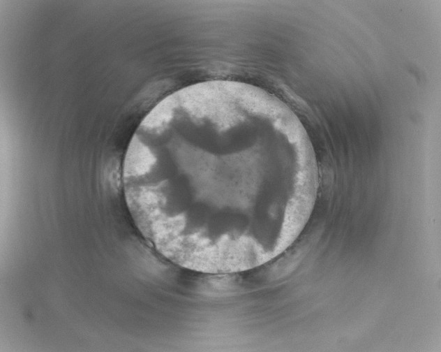 X0000114650479200911171054