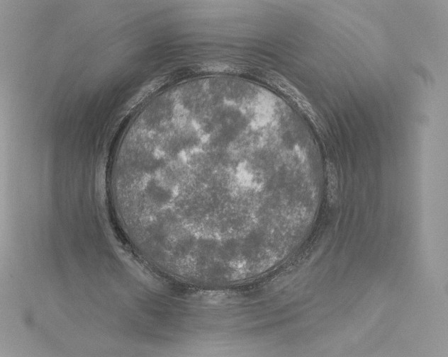 X0000114650482200911171053