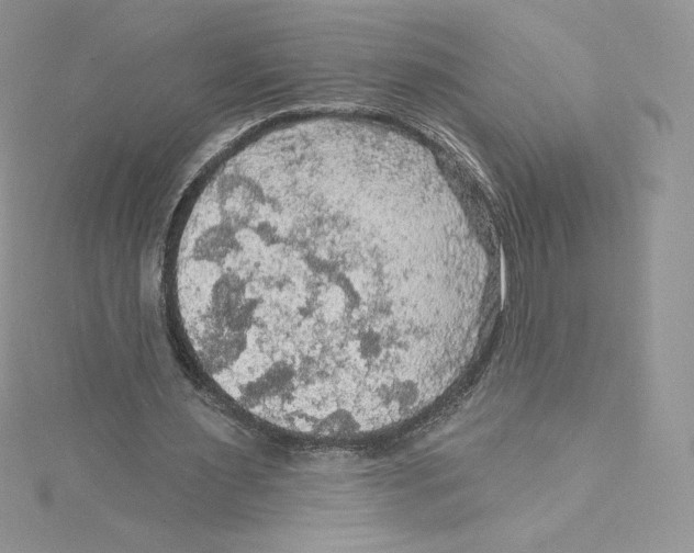 X0000114650483200911171053