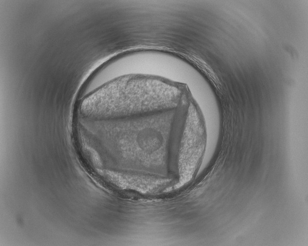 X0000114650484200911171053