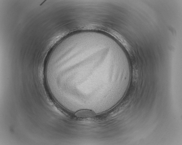 X0000114650485200911171053