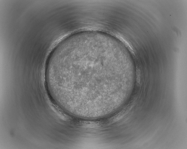 X0000114650486200911171053