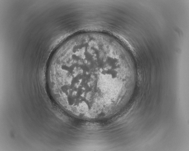 X0000114650487200911171053