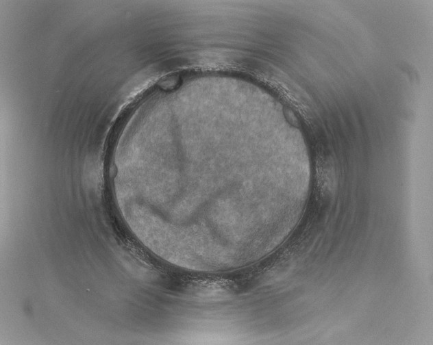 X0000114650488200911171053