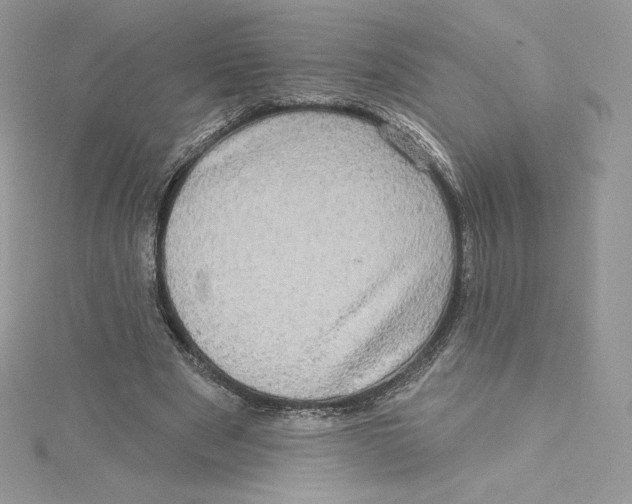 X0000114650489200911171053