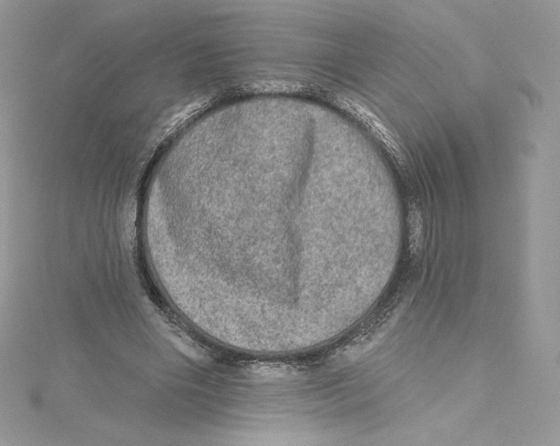 X0000114650490200911171053