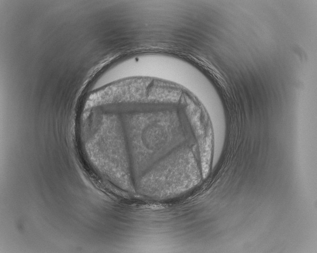 X0000114650492200911171053