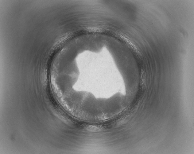 X0000114650494200911171053