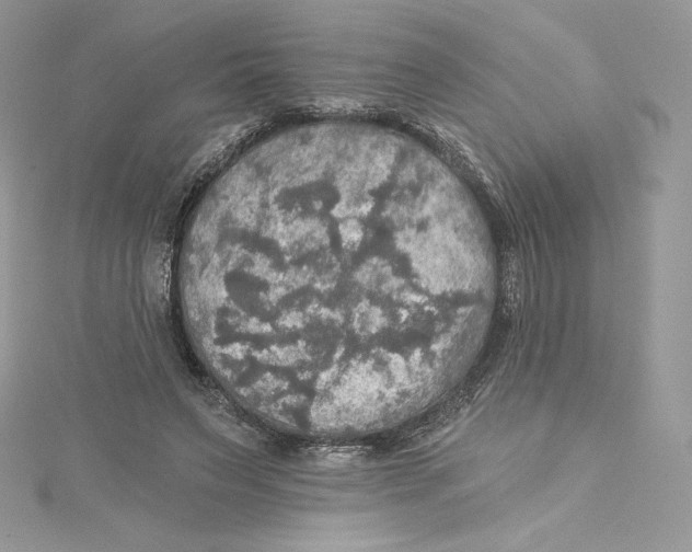 X0000114650495200911171053