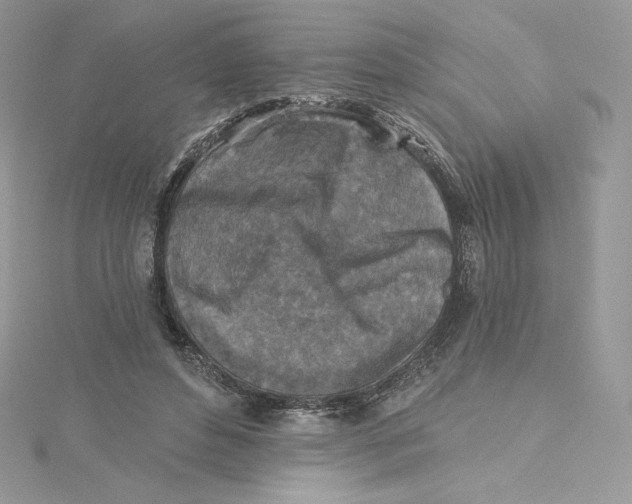 X0000114650496200911171053