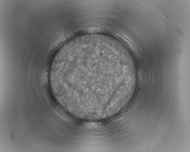 X0000114650499200911171053