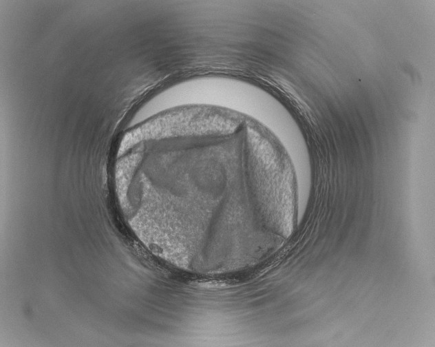 X0000114650500200911171053