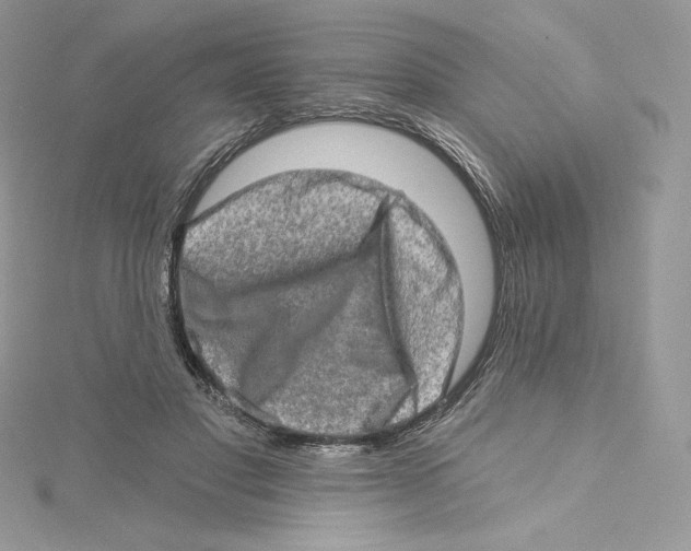 X0000114650501200911171053