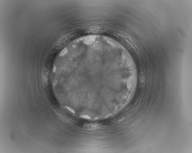 X0000114650503200911171053