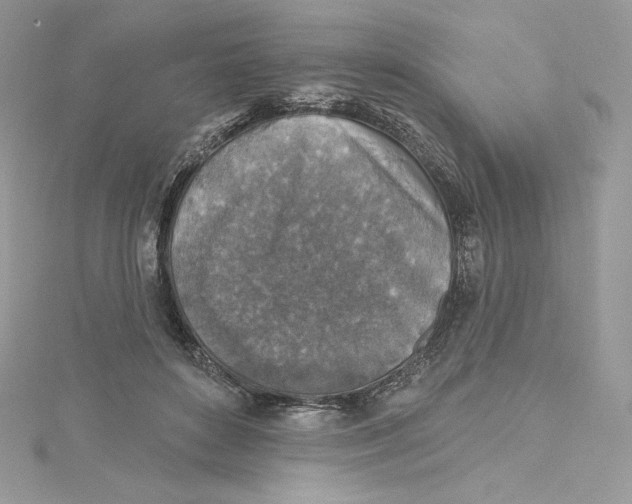 X0000114650504200911171053