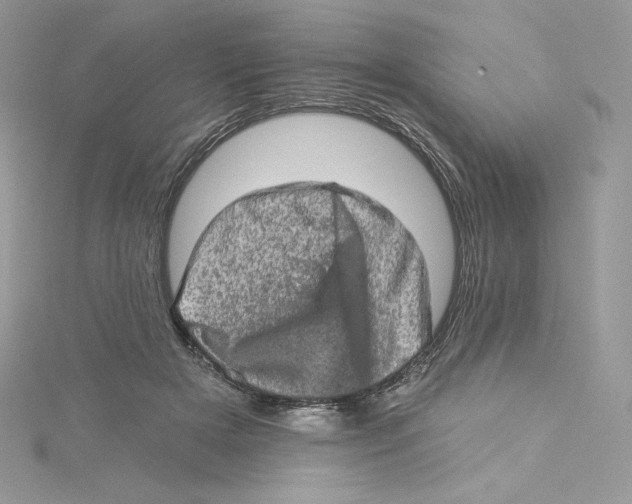 X0000114650505200911171053