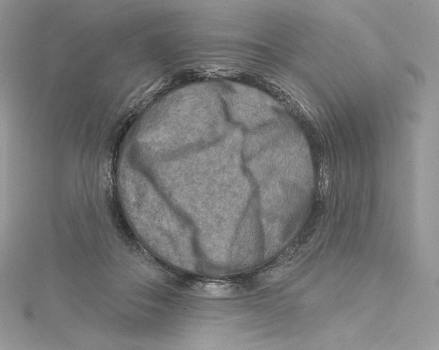 X0000114650506200911171053