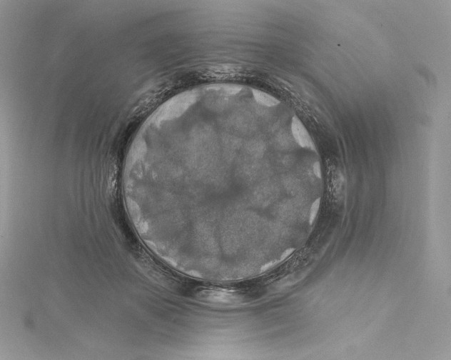 X0000114650507200911171053