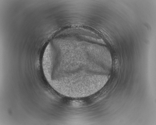 X0000114650508200911171053