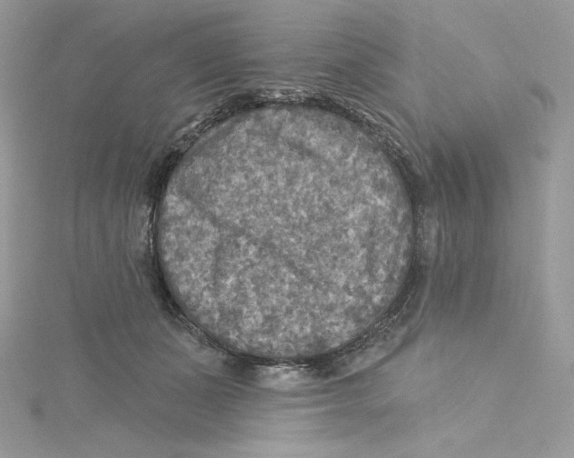 X0000114650511200911171053