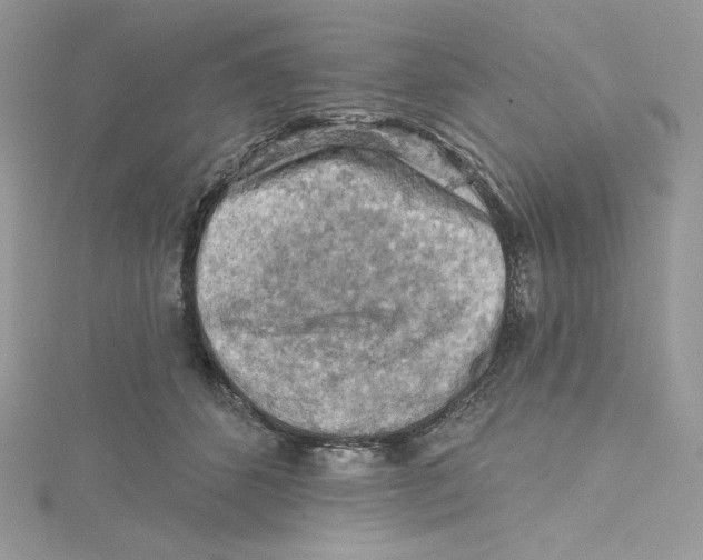 X0000114650512200911171053