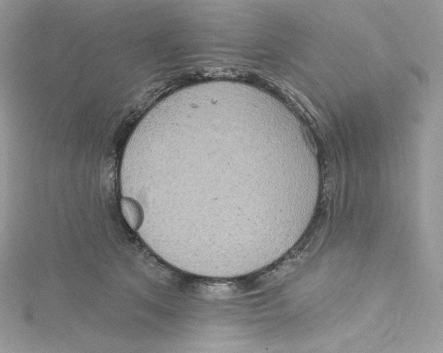 X0000114650513200911171053