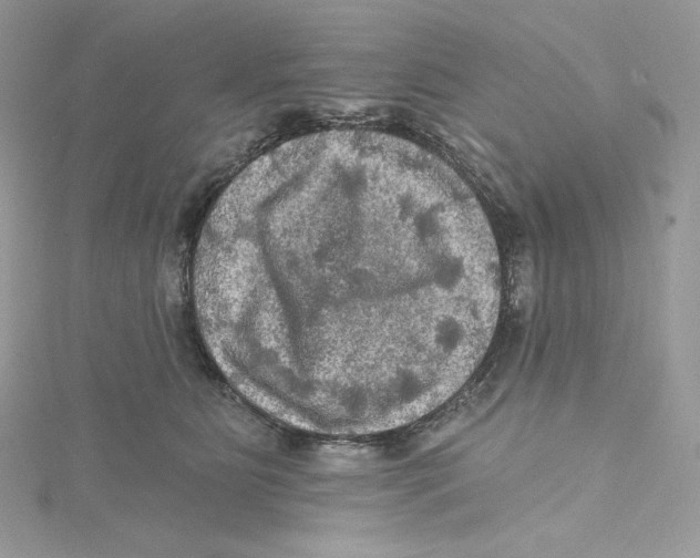 X0000114650515200911171053