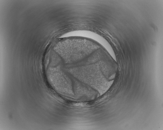 X0000114650516200911171053