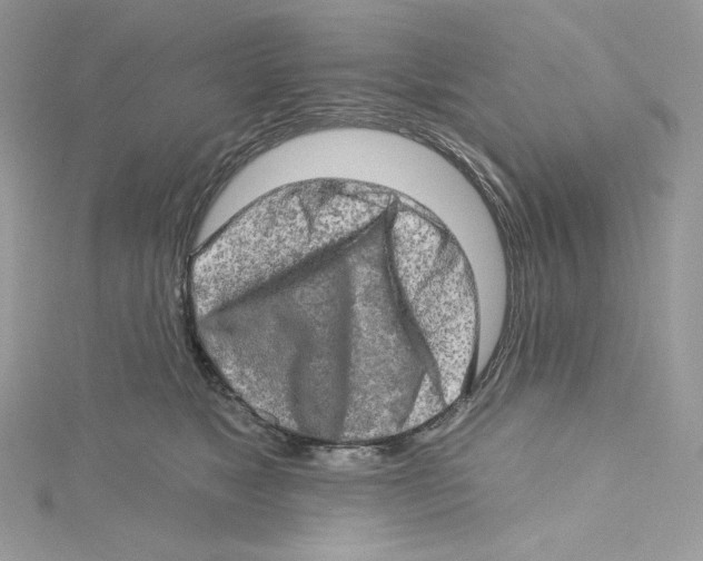 X0000114650517200911171053