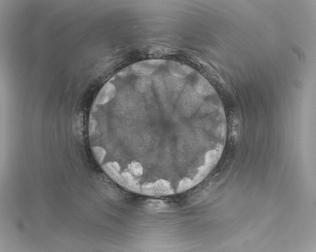 X0000114650519200911171053