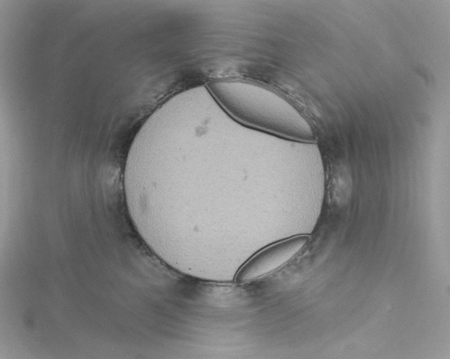 X0000114650521200911171053