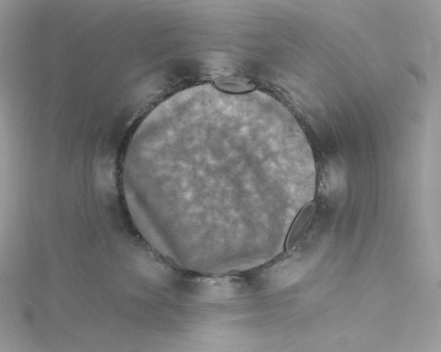 X0000114650524200911171053