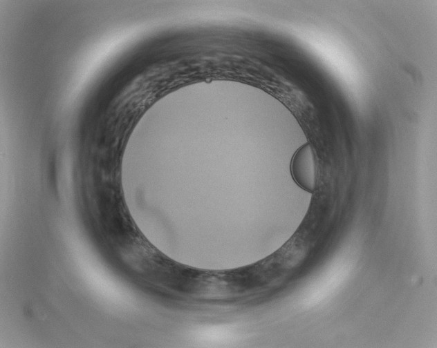 X0000114650526200911171053