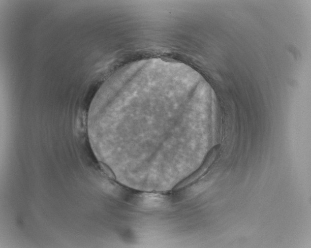 X0000114650528200911171053