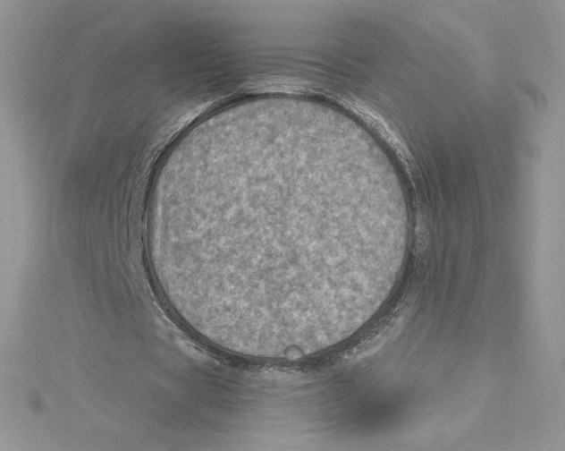 X0000114650529200911171052